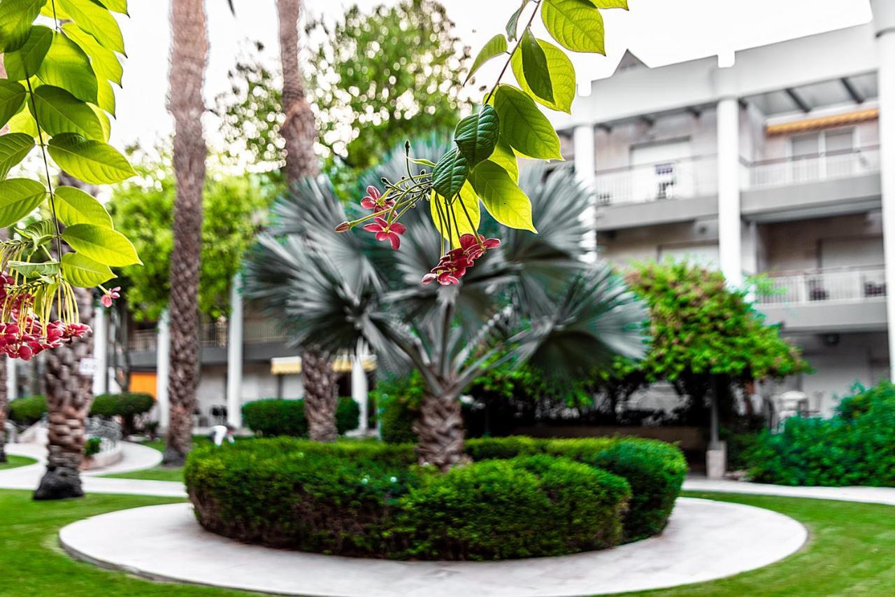 Appartamento דירת גן פונה לבריכה - Pool Garden View Eilat Esterno foto